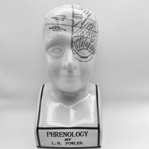 Fowler phrenology head - l.n,