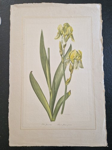 Roche laffitte aquarelle - roche,