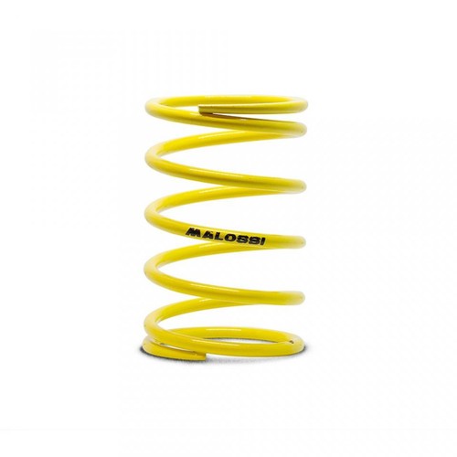 Ressort embrayage malossi - embrayage,
