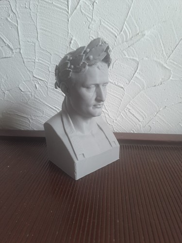 Buste napoleon - buste,