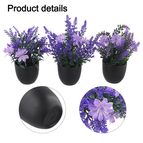 élégantes pcs plantes - Élégantes,