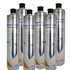 Everpure 4C Activated Carbon Filter 0.5 Micron - 6-Piece Pack