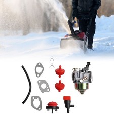 Carburateur souffleuse à