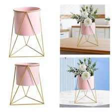 Support de plante en fer, Pot