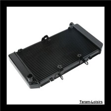 Radiateur pour Honda HORNET