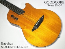 Guitare électro-acoustique /