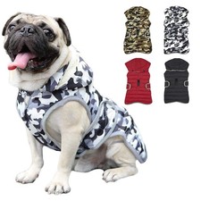 Manteau Chien Veste Gilet