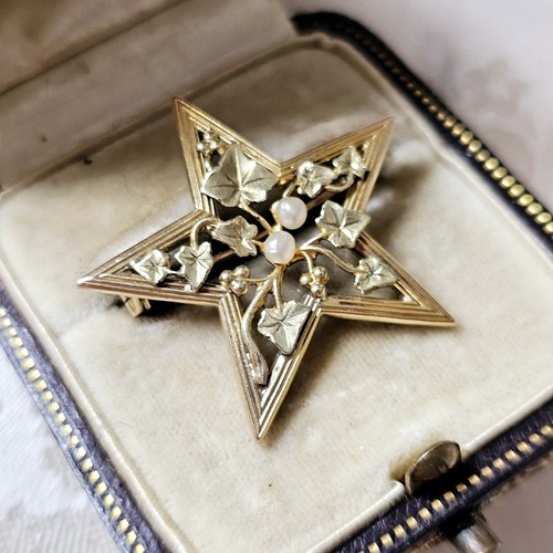 Broche étoile liserons art - broche,