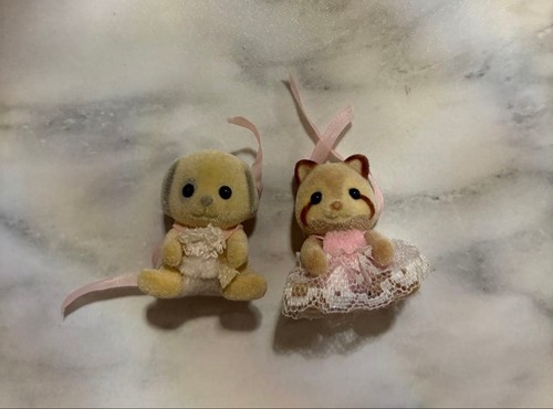 Ensemble bébé raton laveur