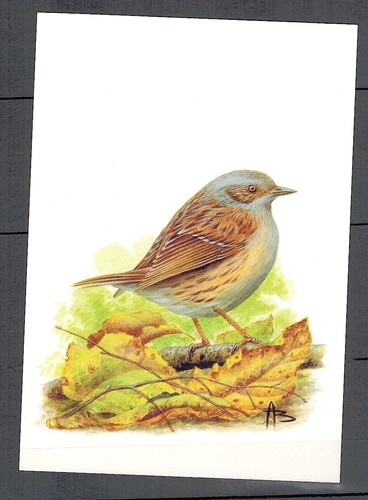 Carte postale accenteur - carte, postale*accenteur