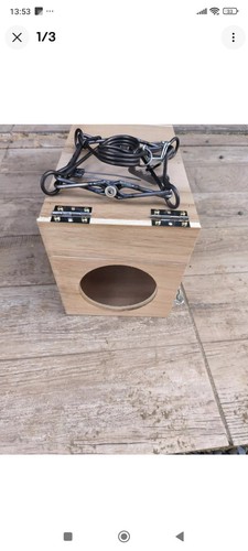 Piège rat et fouine - en,