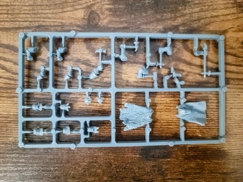 Mordheim middenheimers - x1,