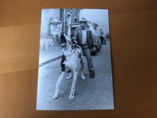 PAPA POULE - Jacques Rispal -