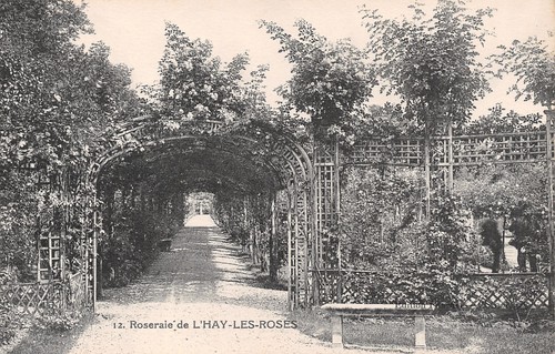 Hay les roses la - hay, roseraie