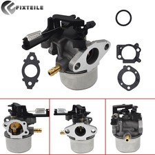 Carb 20199 Pour Briggs &