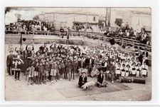 MIRAMAS: photo card of a pig depicting Hitler during a rally