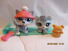 PETSHOP DUO: "SLEDDIN' FUN": PUPPY HUSKY N°1683 + HUSKY N°1684 + ACCESSORIES