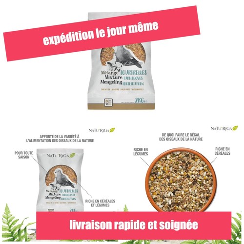 Graines oiseaux sauvages