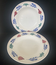 2 Boerenbont Boch Rim Soup