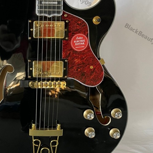 Hollow body guitare - hollow,