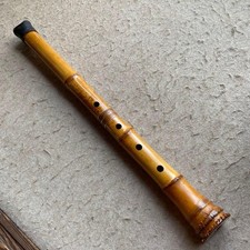 Tube solaire Seika Sanin