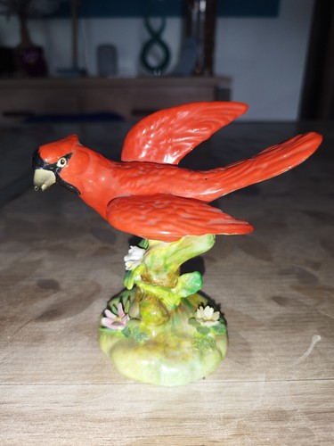 Rare ancien grand - ancien,