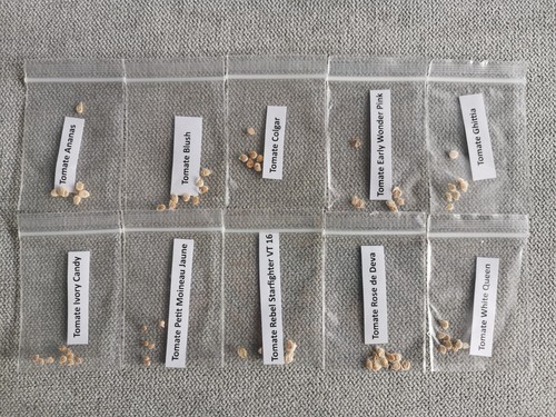Collection variétés de - 10,