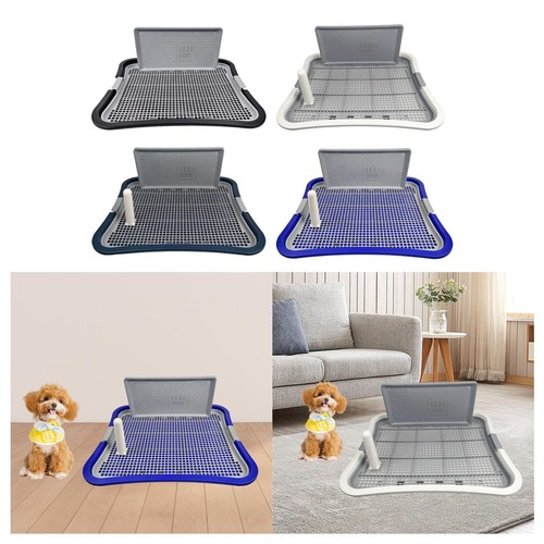 Toilettes pour chiens avec - , bac
