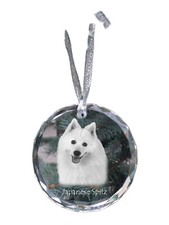 Spitz japonais médaille en