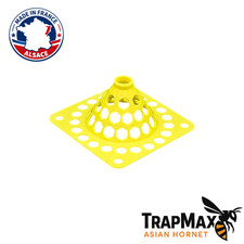 TrapMax AsianHornet – Mini