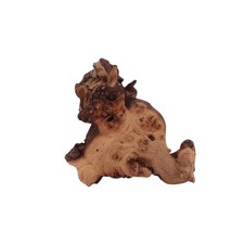 Décoration D'Aquarium Racine