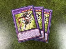 3x Chevreuil Hunting Scout of