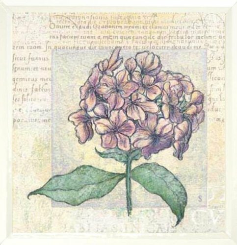 Framed flower fresco by - 1,