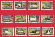 POSTER STAMPS RABBIT BREEDS