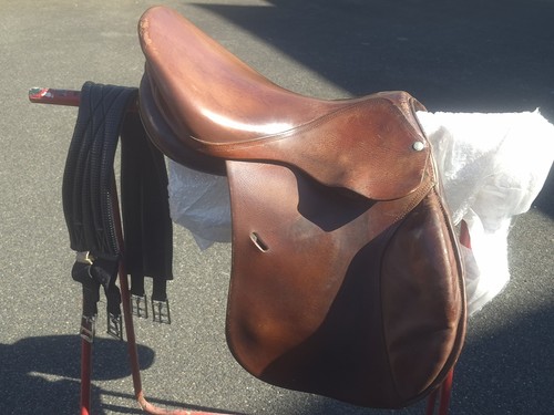 Selle forestier pouces - pouces, +
