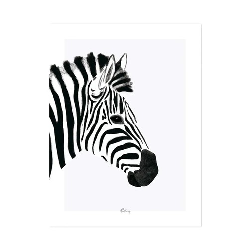 Affiche zèbre noir blanc - affiche, et