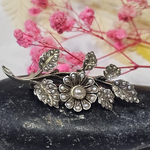 Broche col xixe seeds - col,