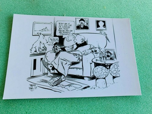 Carte postale 15x10 - postale, tintin