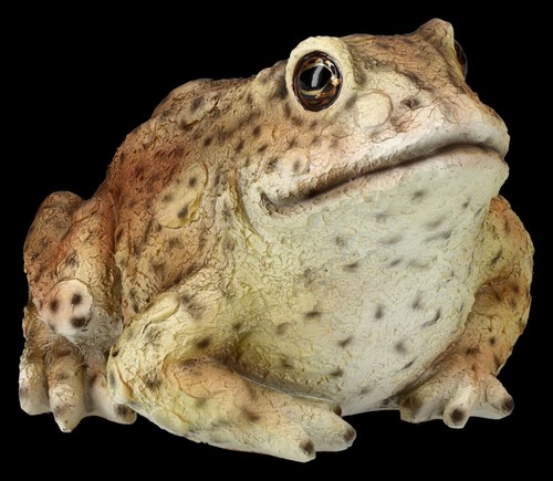 Figurine jardin grenouille - jardin,