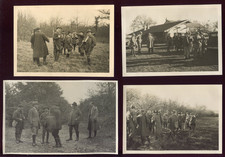 4 photo ancienne chasse