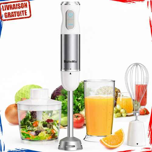 Mixeur plongeant 4en1 - mixeur,