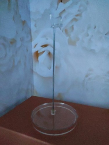 Socle transparent pour poupée - pour,