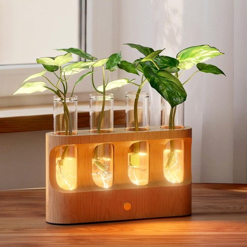 Rechargeable plant propagation - rechargeable,