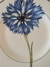 Assiette Plate Villeroy & Boch