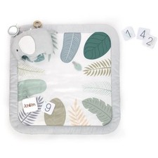 INGENUITY Tapis d'éveil