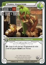 Terril Hachterr [Amakna 9/162 WAKFU]