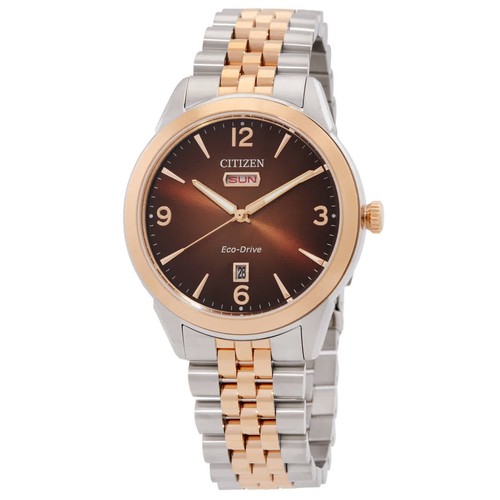 Citizen rolan eco drive - rolan, brown