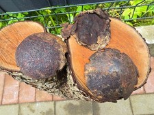 WW1 Accessories from the German bunker rare relic.