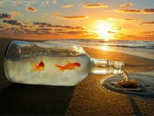 PLAQUE MÉTAL DECORATION MER OCEAN POISSON    30 X 20 CM