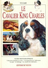Le Cavalier King Charles -